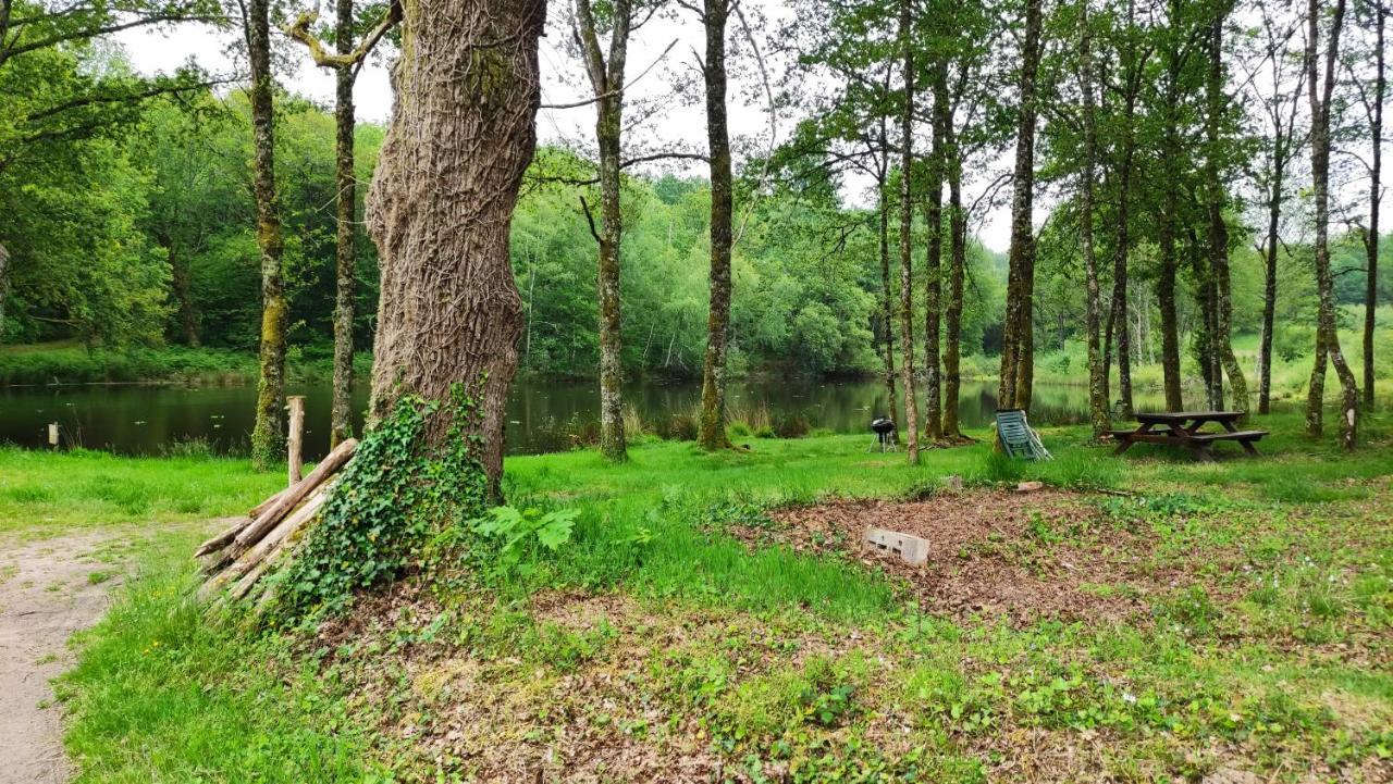 Cap Nature - T4 Et T3 En Perigord Vert - Ideal Pros Et Groupes Max 18P Champniers-et-Reilhac المظهر الخارجي الصورة